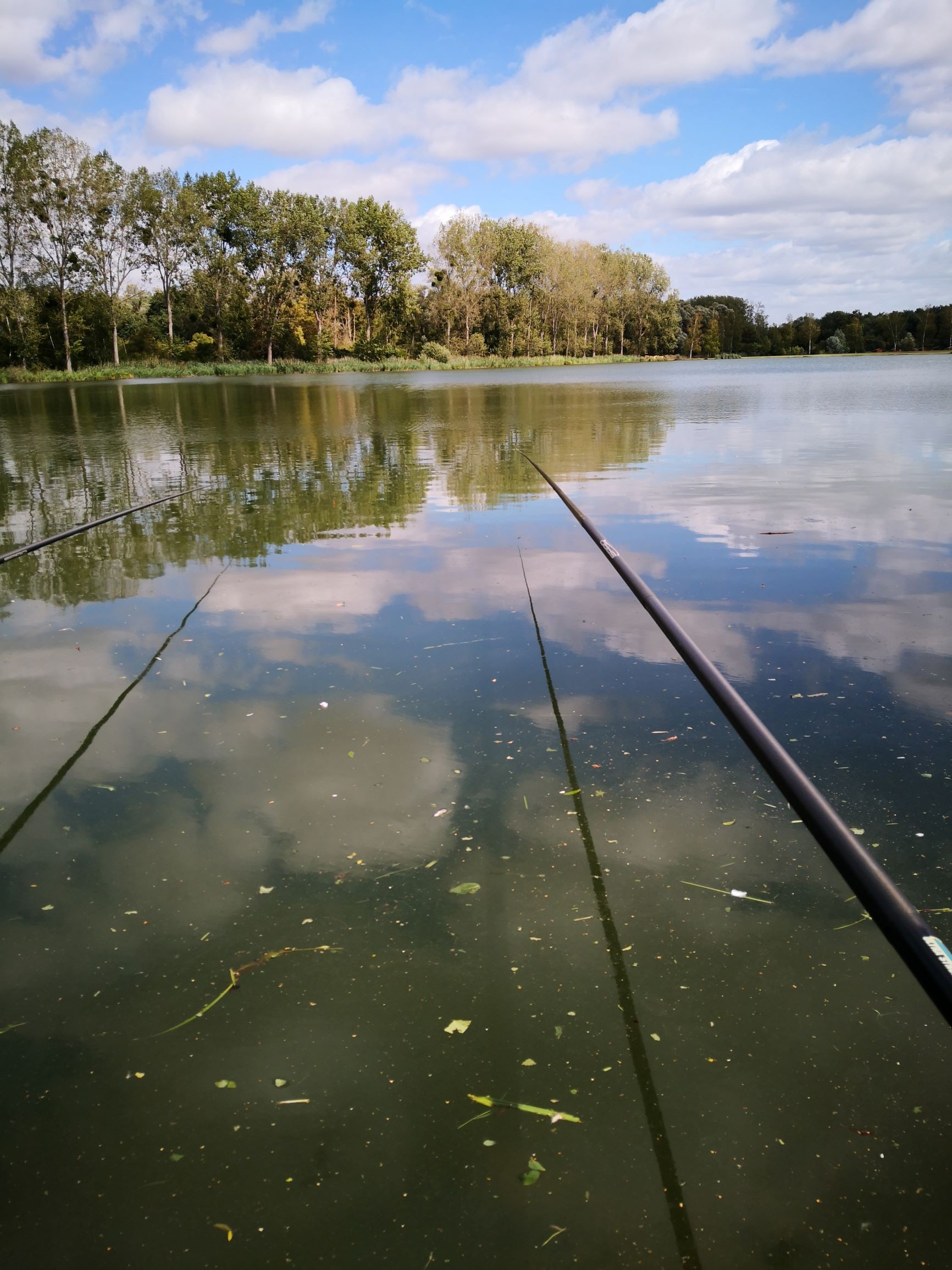 Pêche au coup