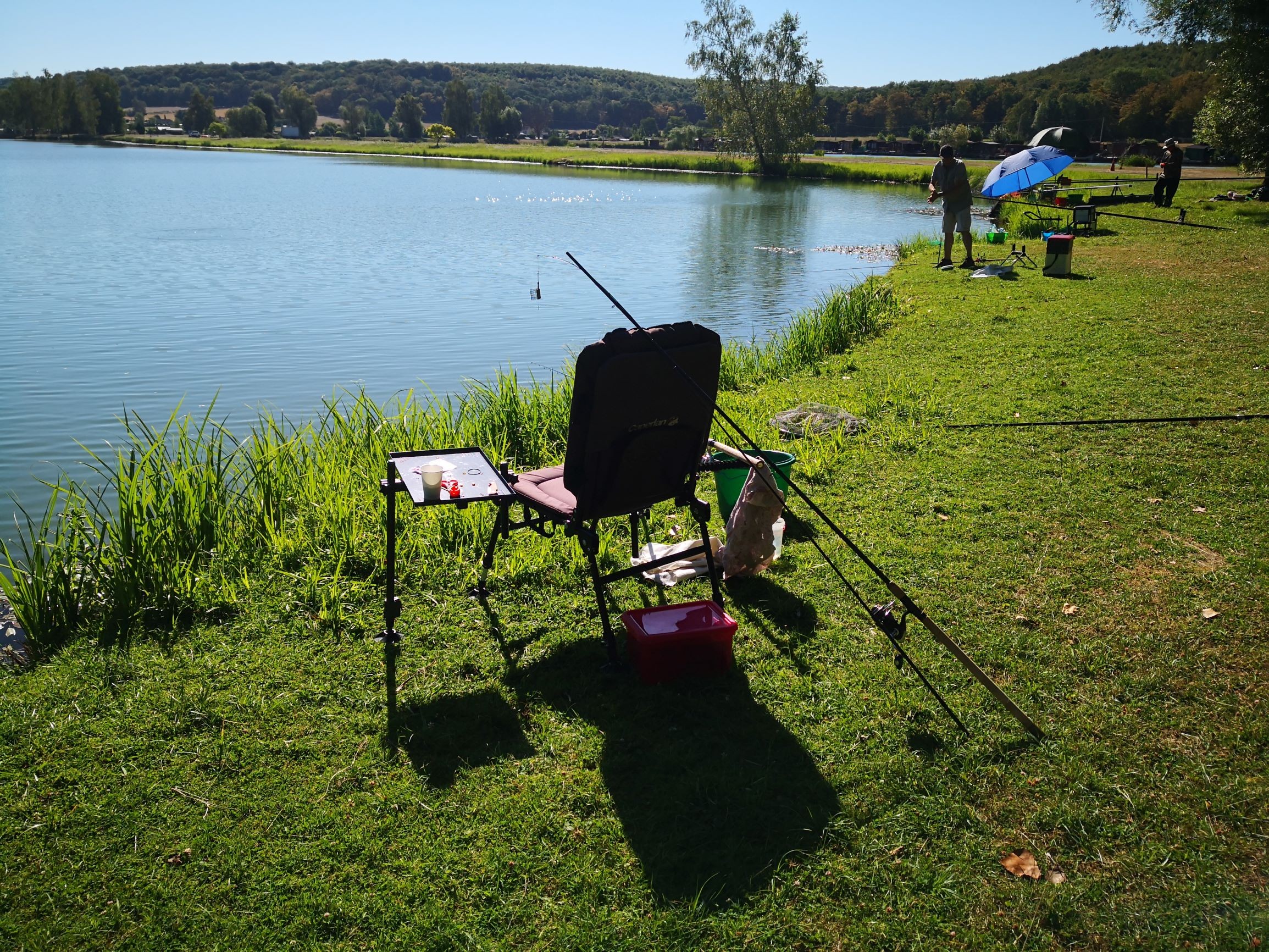 Pêche feeder